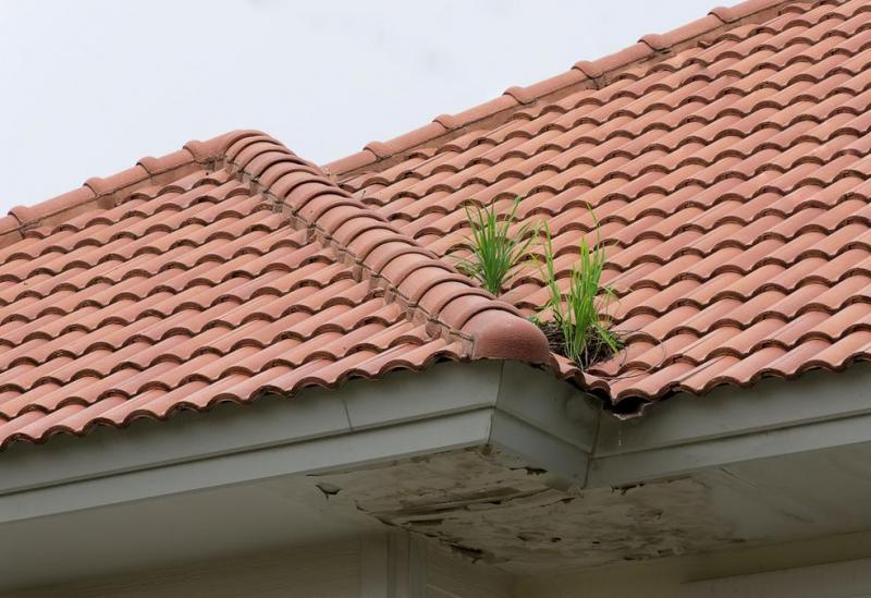 Quand pr&eacute;voir une r&eacute;novation de toiture &agrave; Bischwiller ?