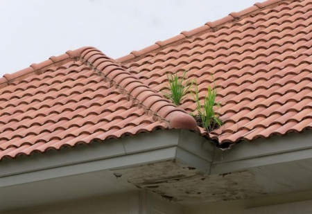 Quand pr&eacute;voir une r&eacute;novation de toiture &agrave; Bischwiller ?
